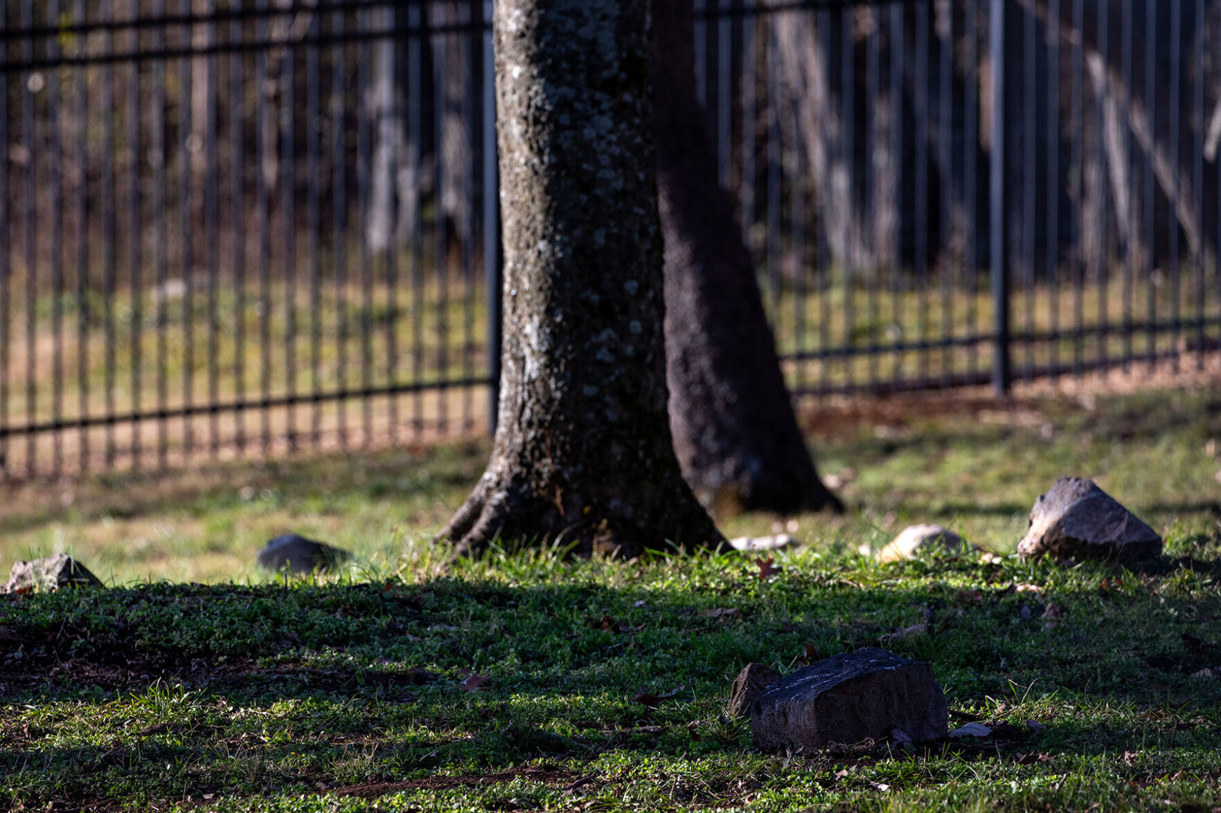 HermitageEnslavedCemetery2024PRINT-01.jpg
